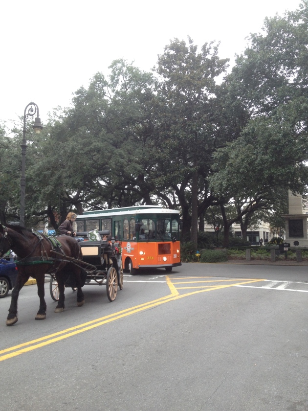 Horse and buggy in Savannah, GA